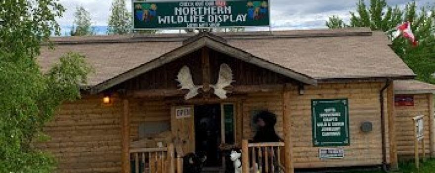 Northern Wildlife Museum