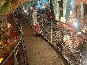 The Crystal Caves