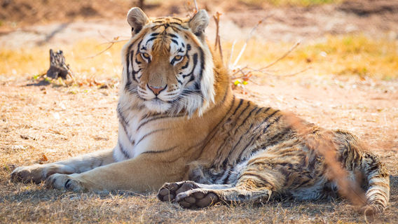 Ukutula Conservation Center