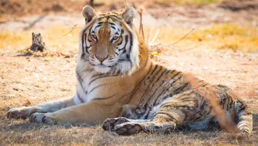 Ukutula Conservation Center