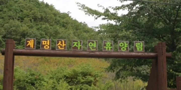 雞鳴山自然休養林