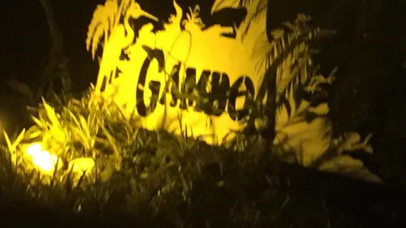 Gamboa Rainforest Resort Night Safari