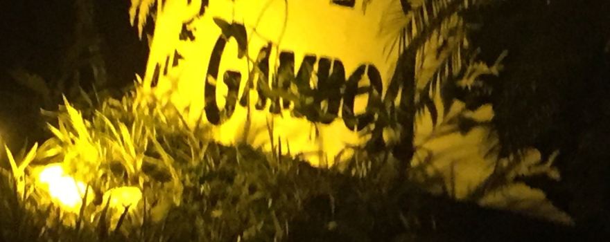Gamboa Rainforest Resort Night Safari