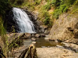 Tat Mok National Park