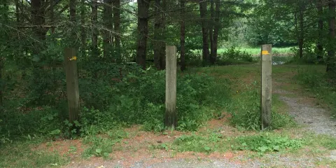 Cookville Provincial Park