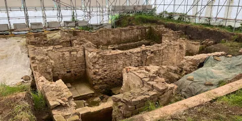 Binchester Roman Fort