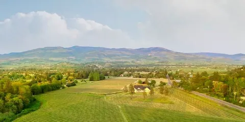 StoneRiver Vineyards