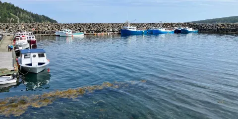 Boar's Head Lighthouse
