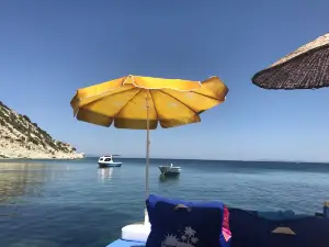 Mimoza Koyu