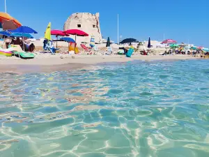 Torre Mozza Beach