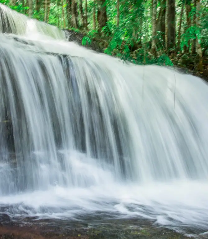 Rio Preto Da Eva