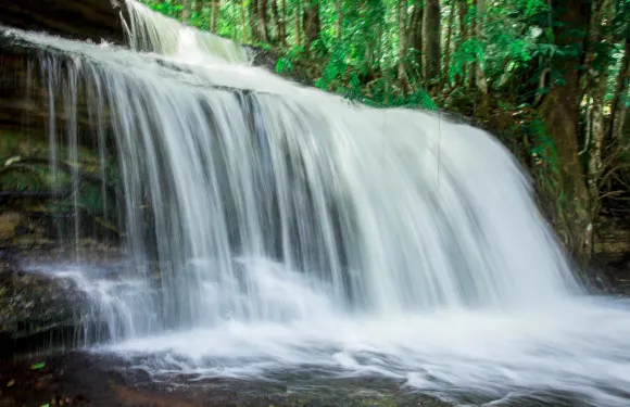 里約普雷托達伊娃