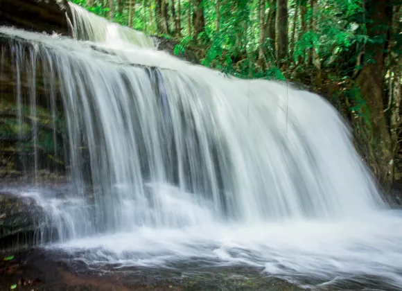 里約普雷托達伊娃