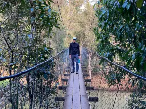 Peterson Creek – Wildlife & Botanical Walking Track
