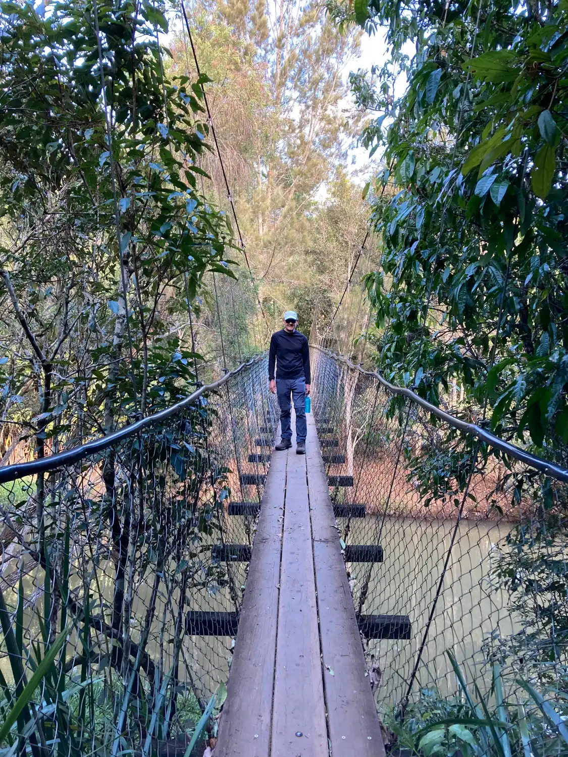 The Peterson Creek Walking Track附近的飯店