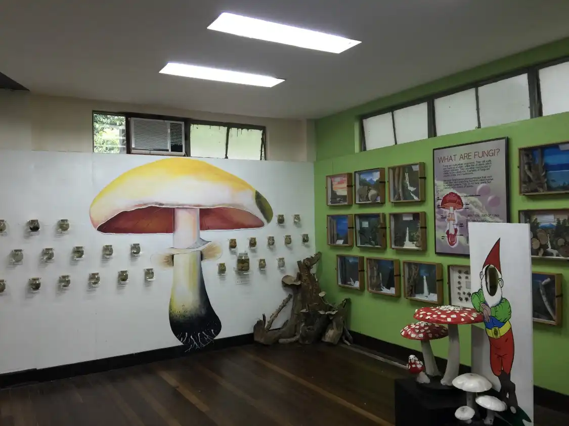 Hotels near UPLB Museum of Natural History