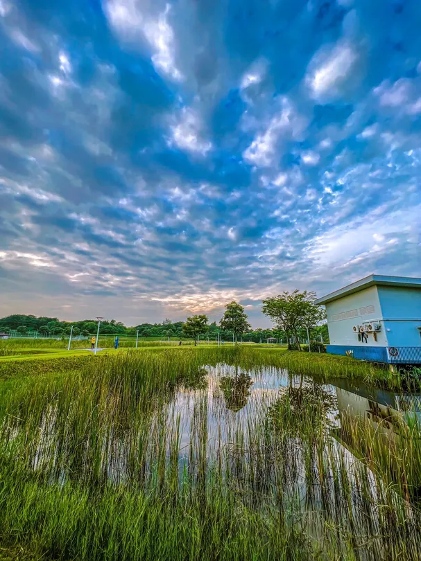 5_Lorong Halus Wetland