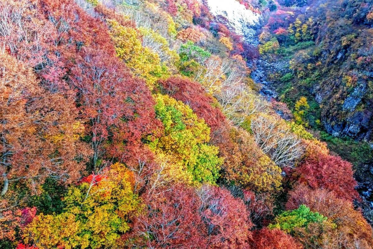 磐梯吾妻スカイライン