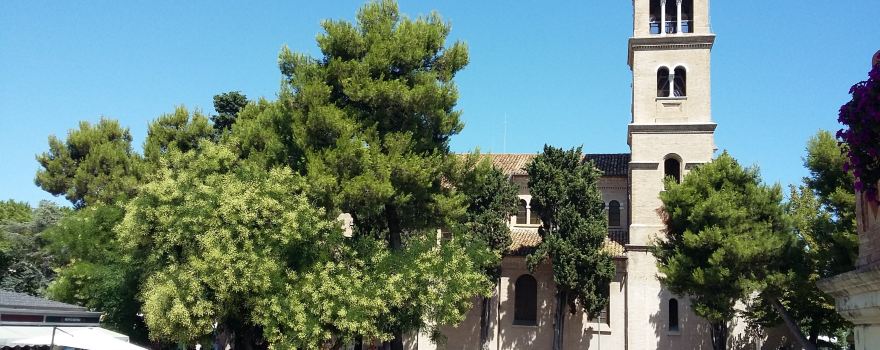 Pineto
