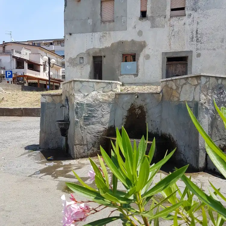 Hotels in Marcellina