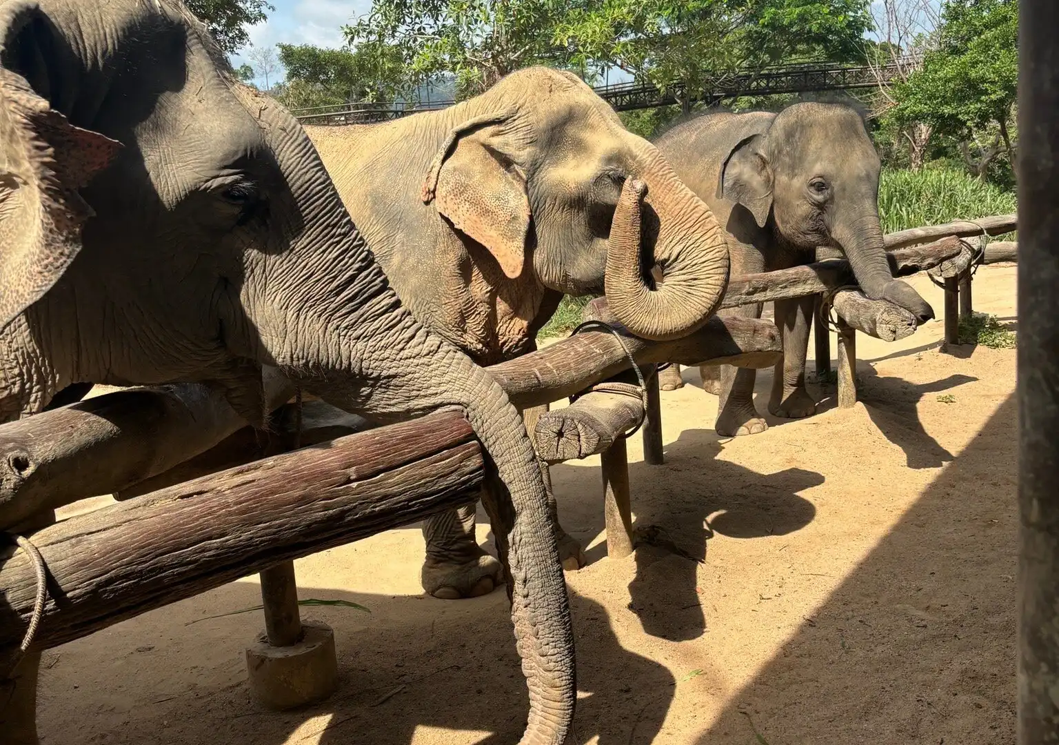 Hôtels à proximité de : Elephant Kingdom