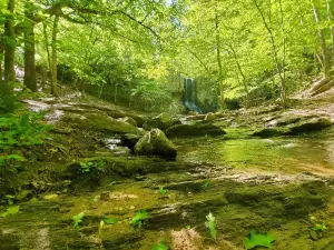 High Shoals Falls