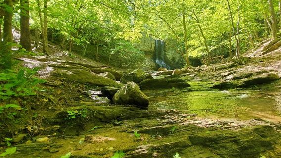 High Shoals Falls