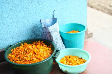 Umuzabibu Mwiza - Home to Handspun Hope