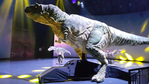 Bibong Dinosaur Park