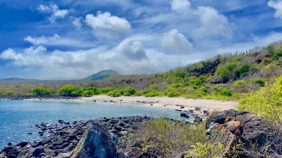 Playa Baquerizo