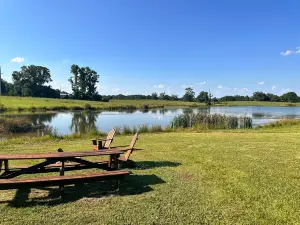Dream Field Farms