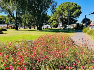 McCann Park