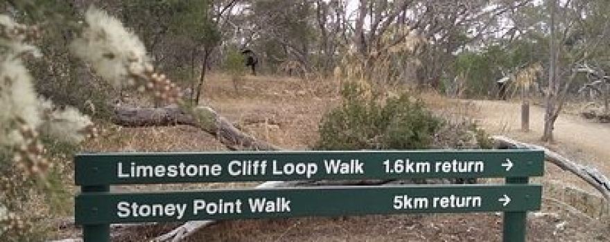 Stony Point Walk and Picnic Ground