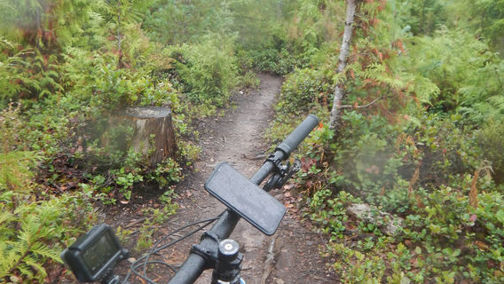 Cumberland Forest Mountain Bike Trails