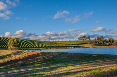 Pemberley of Pemberton | Book in for a Wine Experience