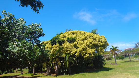 Parc du Receiving Georges-Brunelet