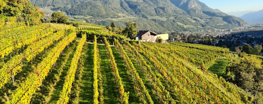 Seggiovia Tirolo - Merano