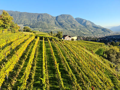 Seggiovia Tirolo - Merano