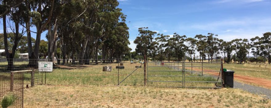Farrell Flat Off Leash Dog Park