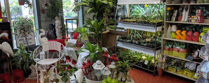 Grobe Nursery & Garden Centre