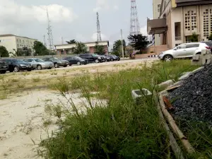 Customs Car Park