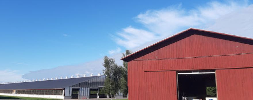 Väätsa Agro suurfarm