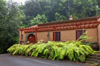 Recreation Area and Visitor Center Los Tilos