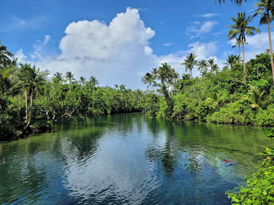 Beto Cold Spring