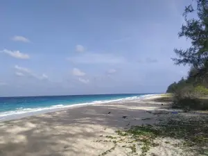 Pasha Beach
