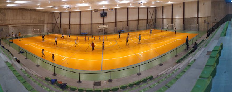 Polideportivo Arroyo De La Vega