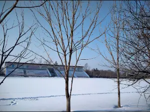 Lokomotiv Stadium