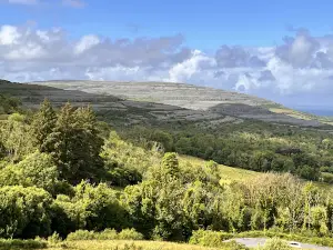 Wild Atlantic Way Day Tours
