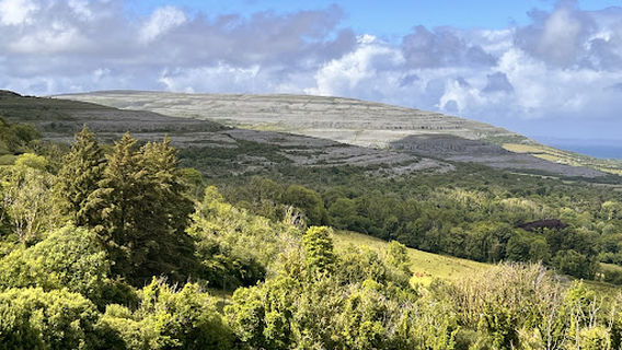 Wild Atlantic Way Day Tours