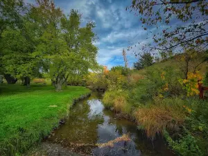 Clausen Springs Recreation